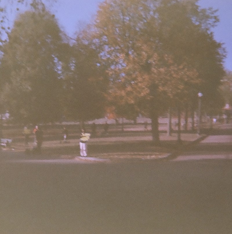 Trees in the Common