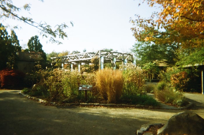 Buttonwood Park Zoo