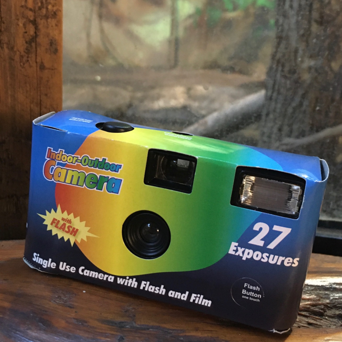 The disposable camera